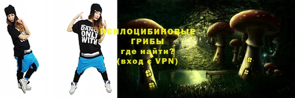 сатива Балахна