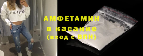 сатива Балахна